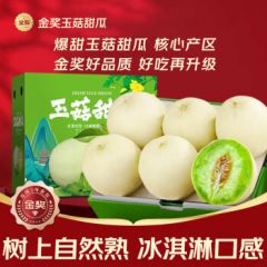 沐小七果蔬 冰淇淋玉菇甜瓜水果香瓜脆甜哈山东 7A精选特大果【单果400-500g】 5斤礼盒装 5斤装【超值装-双人爽吃】 5A精选果【单果300-400g】